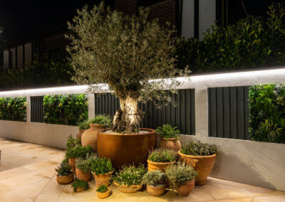 nighttimegardenlighting