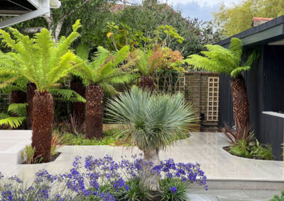 tropical_gardendesign