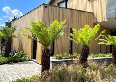 tropical_landscapegardendesign